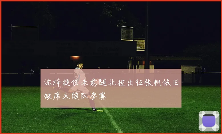 沈梓捷伤未愈随北控出征张帆依旧缺席未随队参赛